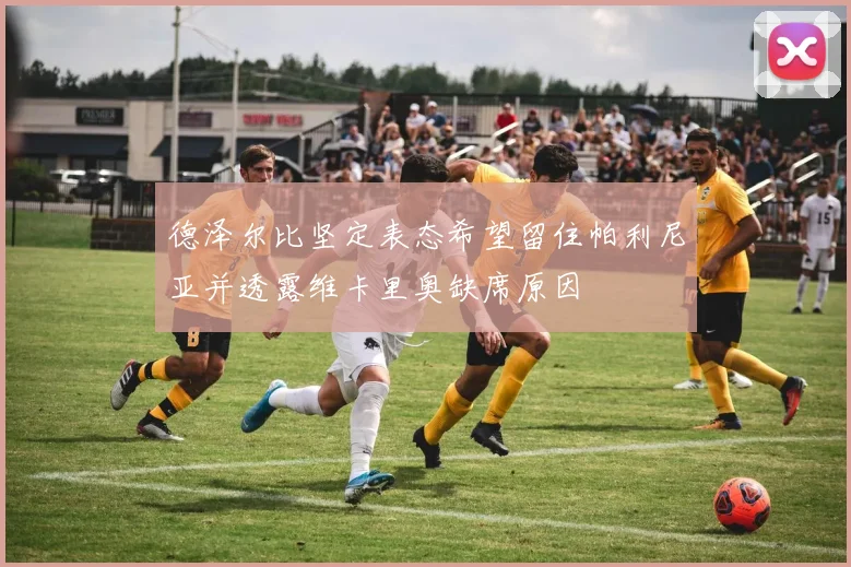 德泽尔比坚定表态希望留住帕利尼亚并透露维卡里奥缺席原因