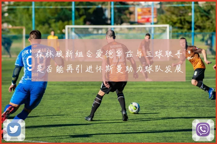 森林狼新组合爱德华兹与三球联手是否能再引进怀斯曼助力球队发展