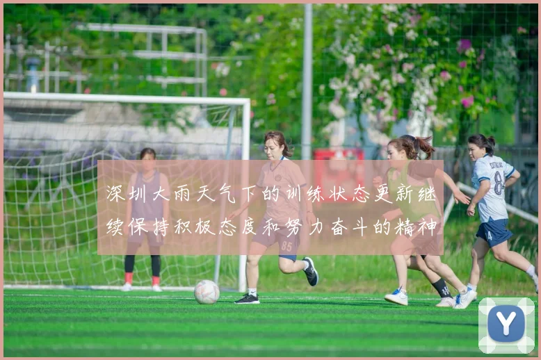 深圳大雨天气下的训练状态更新继续保持积极态度和努力奋斗的精神